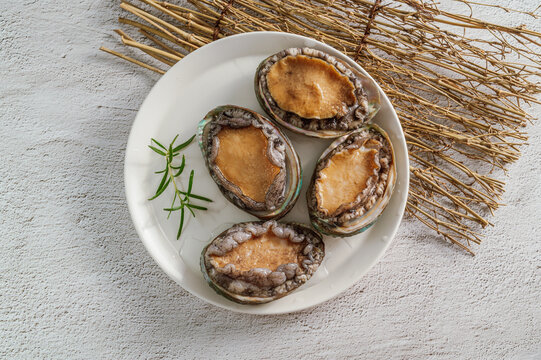 Fresh seafood abalone from the sea