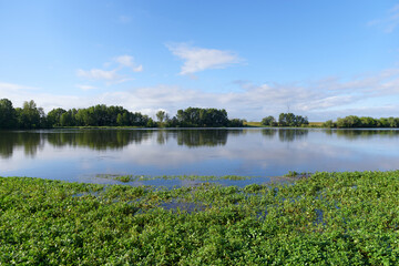 Fototapeta na wymiar Loire river bank near the Chateauneuf-sur-Loire village