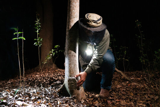 Investigador Ecologista instala una C&aacute;mara Trampa con sensores de movimiento para detectar fauna salvaje
