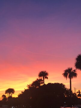 Sunsets in Florida