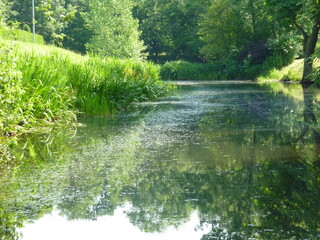 Kleine Bootsfahrt in der Natur mit verästelnden Wasserstraßen 