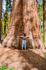 Cute young girl hugs a huge tree in Sequoia National Park, USA