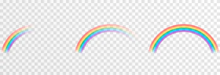 Fotobehang Vector rainbow on isolated transparent background. Effect after rain. Rainbow PNG. © Vitaliy
