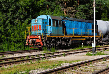 a blue locomotive rides along the rails among the trees pulls the wagons behind it