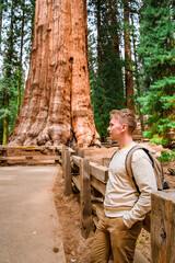 Naklejka na ściany i meble A young male tourist at the huge sequoia General Sherman in the Sequoia Park in the USA