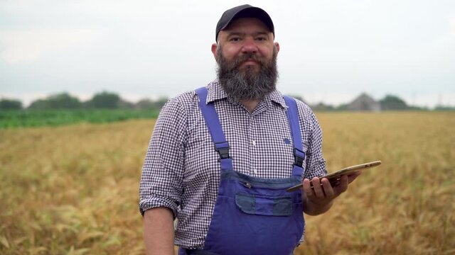a bearded Caucasian male farmer stands in a wheat field dressed in a uniform at sunset and works with a digital tablet. Smart farming and precision farming.