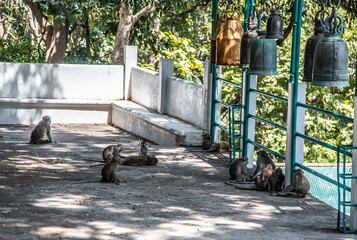 Aerial view of Wat Phra Phutthachai in Saraburi, Thailand