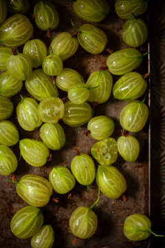 Raw green gooseberries on a metal baking sheet