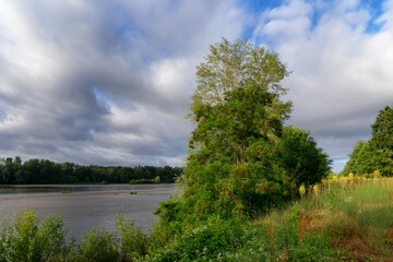Loire river bank near the Chateauneuf-sur-Loire village