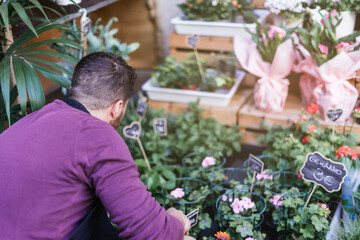 Flower store owner bending down placing the plants in the window. Unrecognizable.