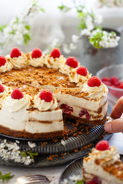 Serving Spreculoos Cheesecake