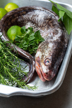 Pacific eel fish congrio with fragant herbs and lemon