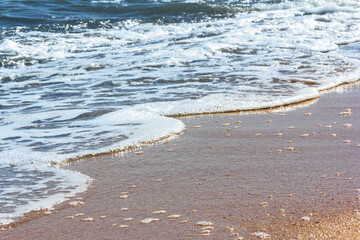 a foamy sea wave rolls onto the sandy beach on a sunny summer day