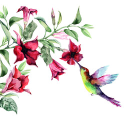 A small tropical bird hummingbird collects nectar from flowers on a branch with green leaves. Hand drawn watercolor on white background for cards, wedding invitations, print, banner, packaging.