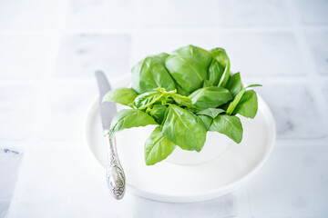 Fresh Basil leaf on a white background