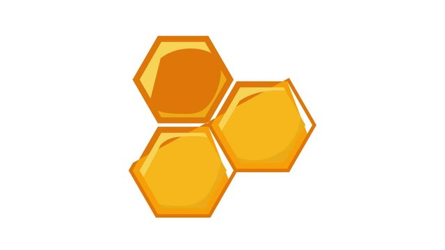 Honeycomb of bee icon animation cartoon best object isolated on white background
