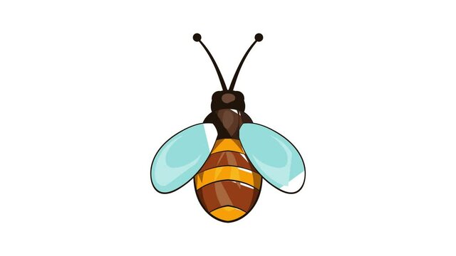 Bee icon animation cartoon best object isolated on white background