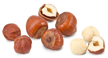 hazelnut isolated on white background macro. clipping path