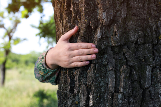 Woman hugging tree trunk in forest on sunny day - Powered by Adobe