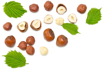 hazelnuts with green leaf isolated on white background macro. clipping path. top view