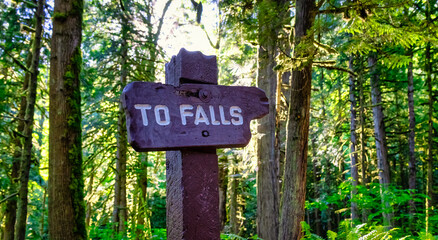 Sign pointing To Falls on a hiking trail in the rain forest. Bridal Falls in Fraser Valley between Chilliwack and Hope, British Columbia, Canada.