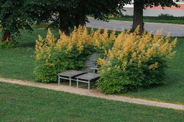 park bench in the bush