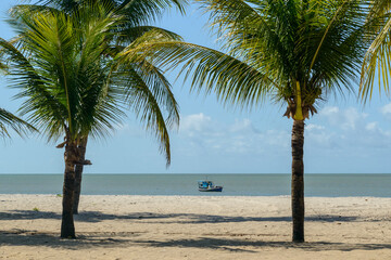 Obraz premium Coconut trees and boat on Lucena beach, near Joao Pessoa, Paraiba, Brazil on May 16, 2021.