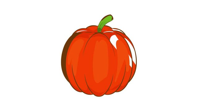 Autumn pumpkin vegetable icon animation cartoon best object isolated on white background