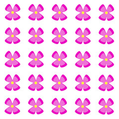 Design illustration pink flowers pattern on isolated on white background