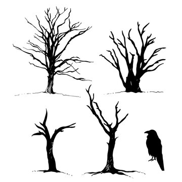 Tree and bird raven silhouette, hand drawn vector illustration