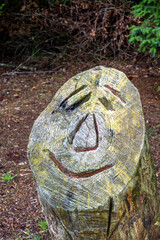 Sawed off tree trunk with smiling face - obrazy, fototapety, plakaty