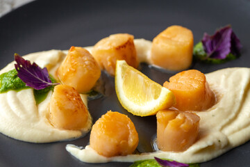 Scallops in creamy sauce on black plate