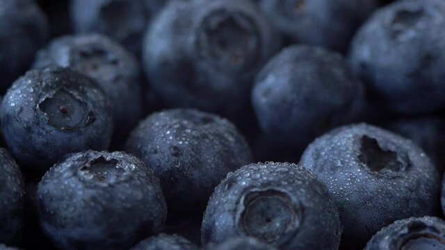 Close up of fresh ripe juicy blue blueberry with water drops rotate in circle. Natural and healthy berry concept. Macro food background. Harvest, crop.