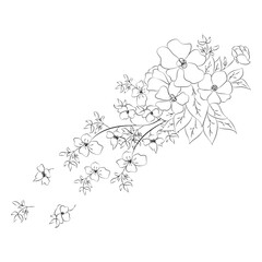 Summer garden blooming flowers monochrome illustration, sketch, hand drawn