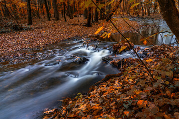 Wild river in autumn forest, Germany. Long exposure.
