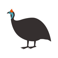 guinea fowl bird, vector illustration, flat style