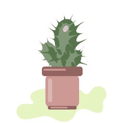 Indoor plant in a pot, potted cactus for interior decoration vector illustration isolated on white