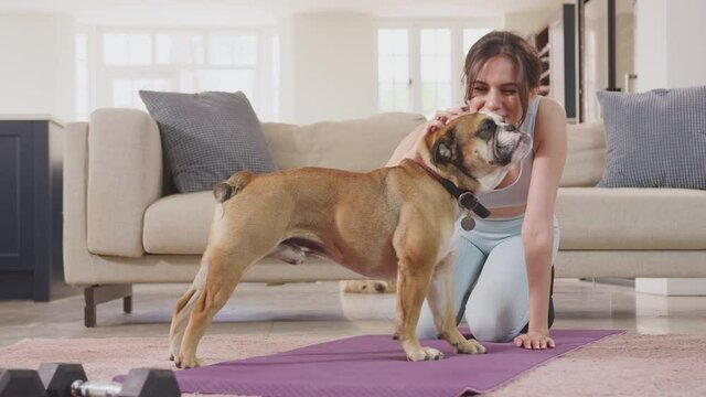 Woman in fitness clothing at home stroking pet english bulldog  before exercising on mat in lounge- shot in slow motion