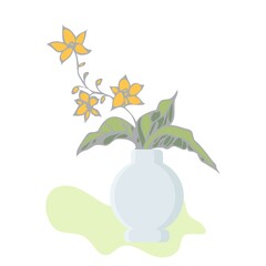 Orchid Phalaenopsis houseplant, potted flower vector illustration