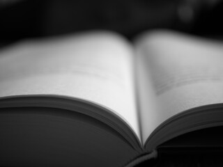 Black and white photo of an open hardcover book