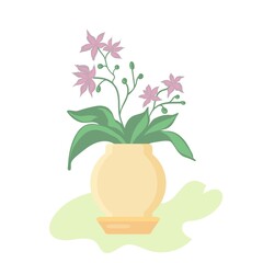 Orchid Phalaenopsis houseplant, potted flower vector illustration