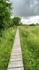 Fototapeta na wymiar Wooden footbridge in the park near Wlodawa