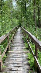 Wooden footbridge in the park near Wlodawa