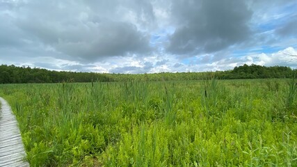 Fototapeta premium Wooden footbridge in the park near Wlodawa