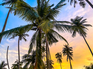 hideout beach sunset in Koh Kood, Trat, Thailand