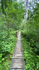 Obraz premium Wooden footbridge in the park near Wlodawa