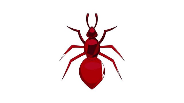 Ant icon animation cartoon best object isolated on white background
