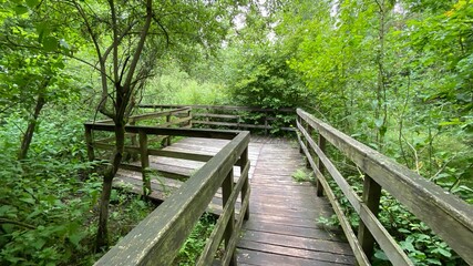 Wooden footbridge in the park near Wlodawa