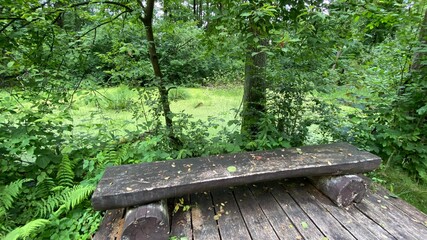 Wooden footbridge in the park near Wlodawa
