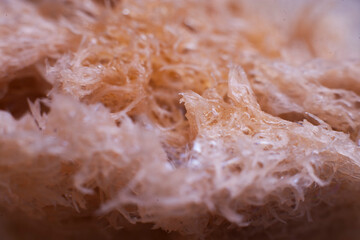 Fibers in macro photography 